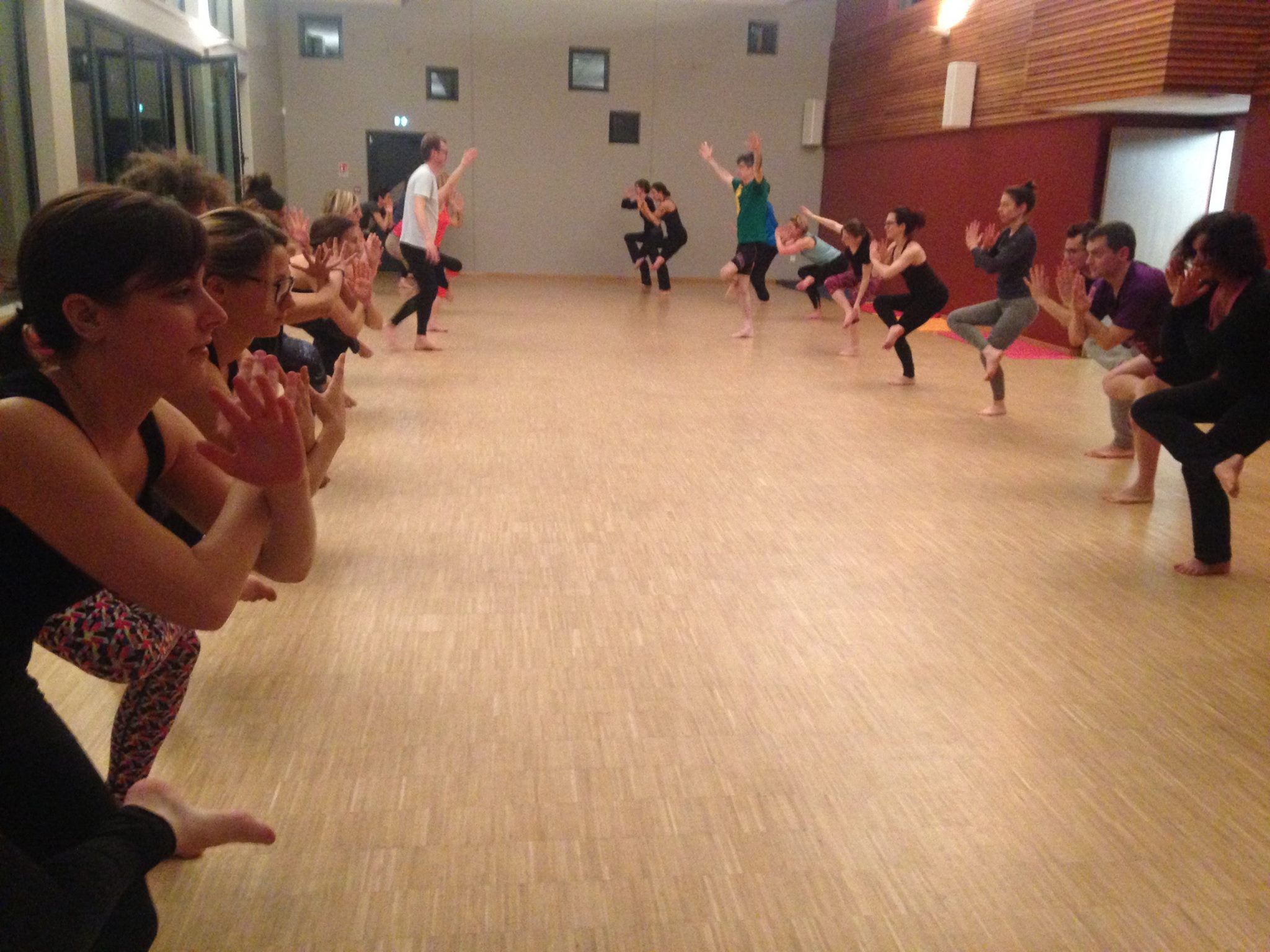 federation francophone des enseignants de yoga